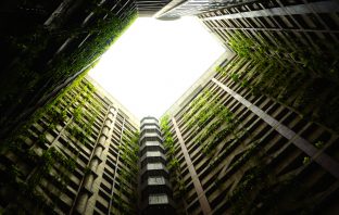 Il Progetto Europeo Life Urban Green