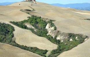 Linee curve in Val d’Orcia