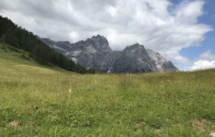 Gli Arbitri e i Consumatori