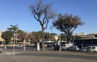 Note per una politica del verde urbano