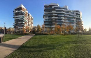 I benefici economici degli alberi intorno agli edifici