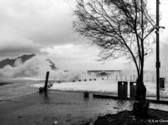 Il Ciclone Harry in Bianco e Nero, al Foro Italico di Palermo